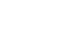 Distone Logo